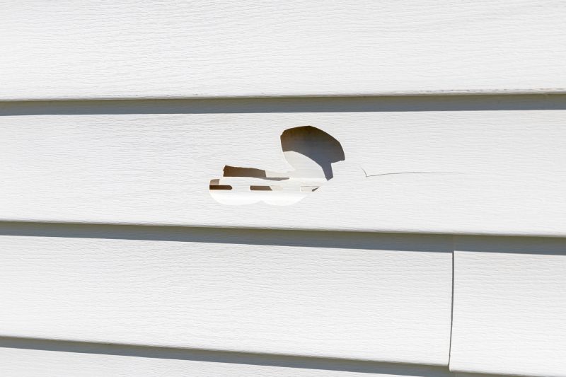 Vinyl Siding Repair Consultation
